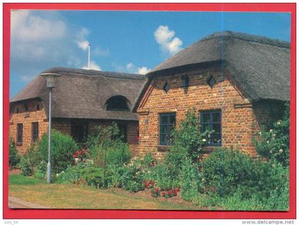 166955 / GARDMILJO FRA JYLLANDS VESTKYST - Denmark Danemark Danemark Danimarca