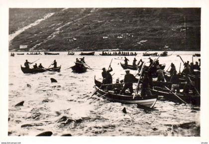 P-25-Fo-Bi- 6831 : PHOTOGRAPHIE ILES FEROË.. GRINDADRAP