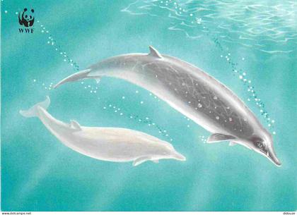 Carte Postale - Danemark - Nevhvalur mesoplodon bidens - Dauphin à bosse - Carte WWF - Art illustration - Îles Féroé - C