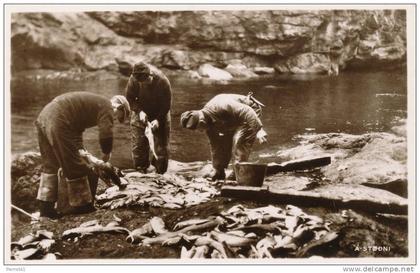 DANEMARK - DANMARK - ILES FEROE - TORSHAVN - A stodni