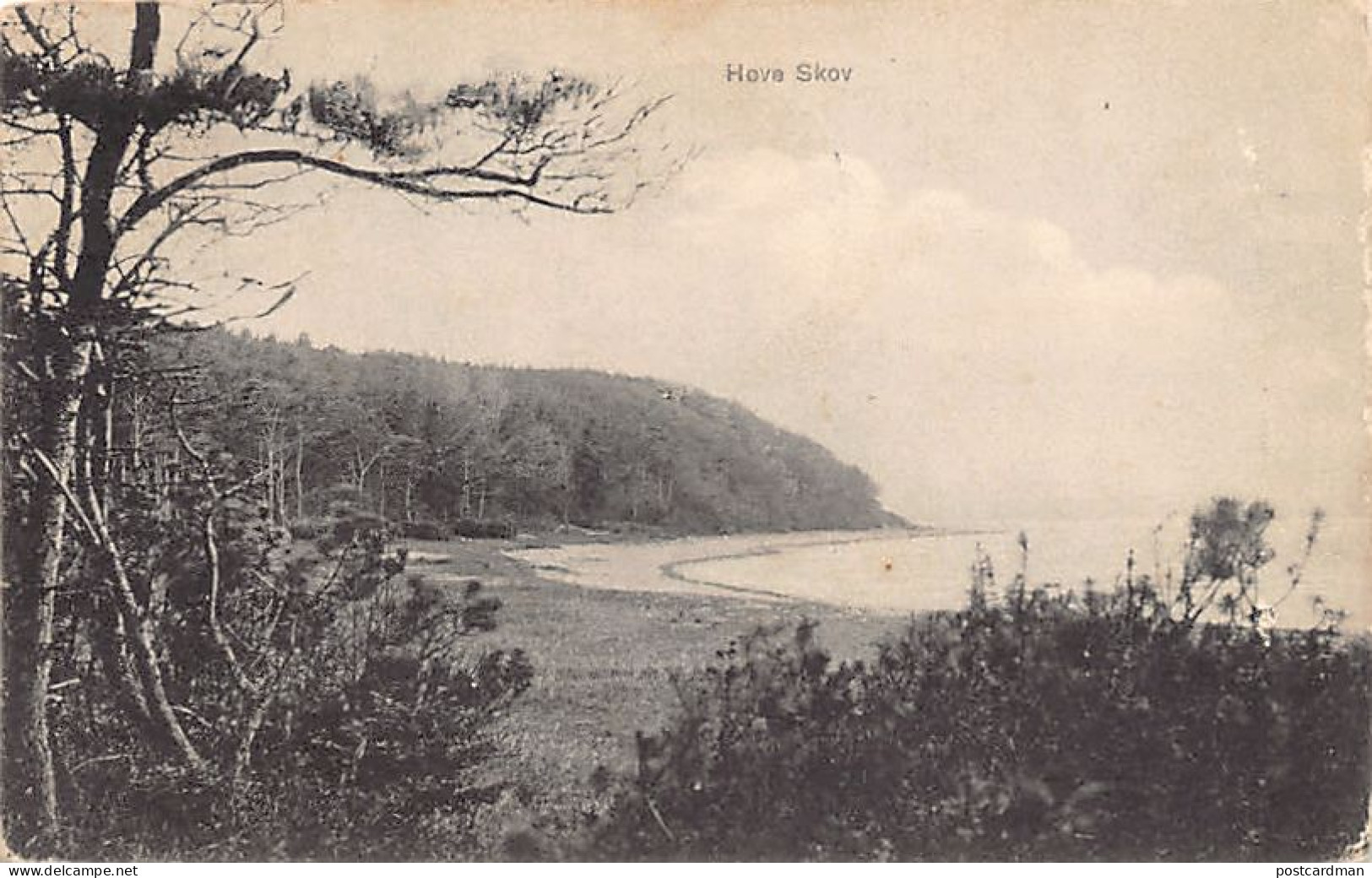 Danmark - HOVE SKOV