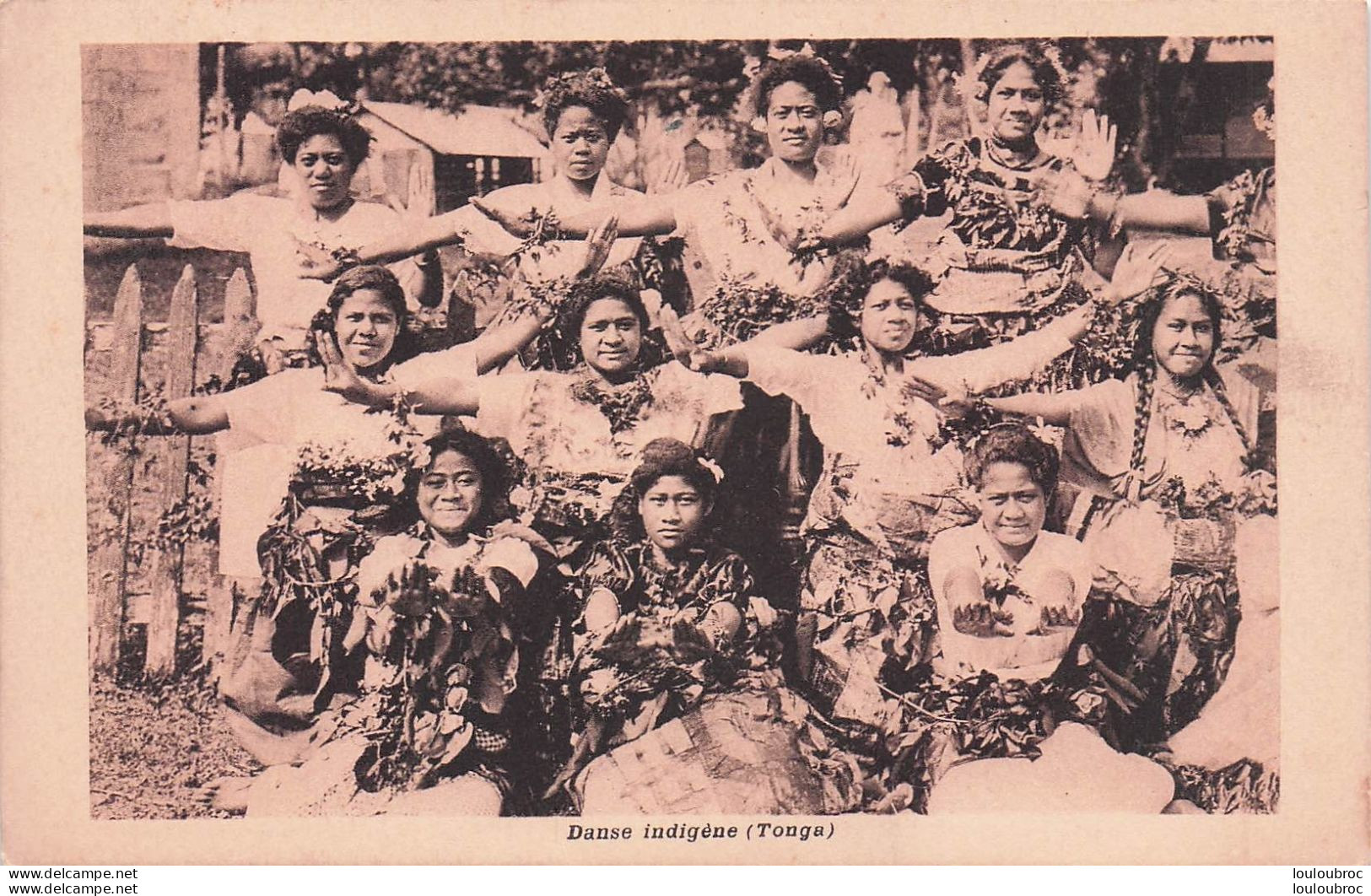 DANSE INDIGENE TONGA