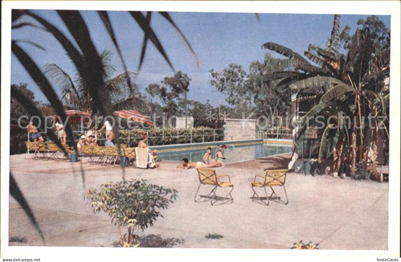 Darwin The swimming pool at Berrimah Rest House