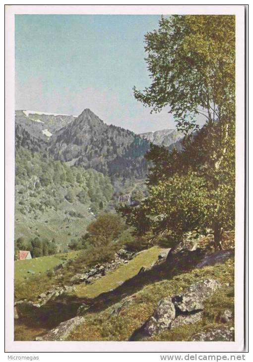 Das Münstertal - Im Wormsatal