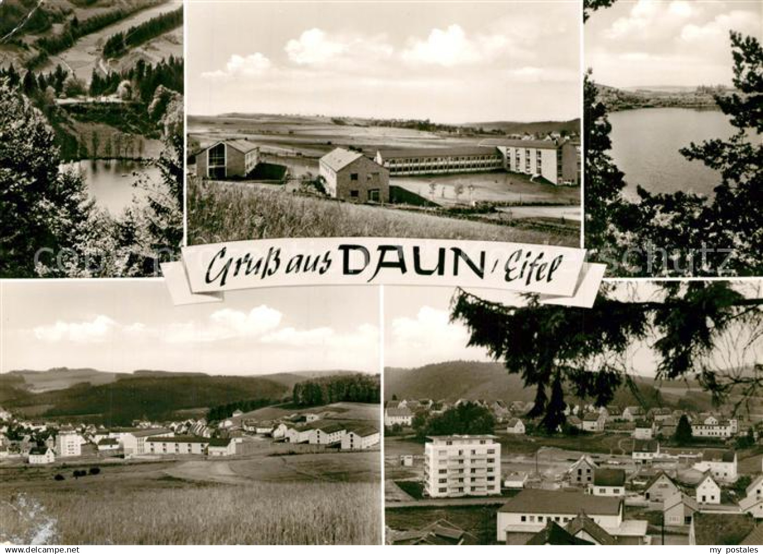 Daun Eifel