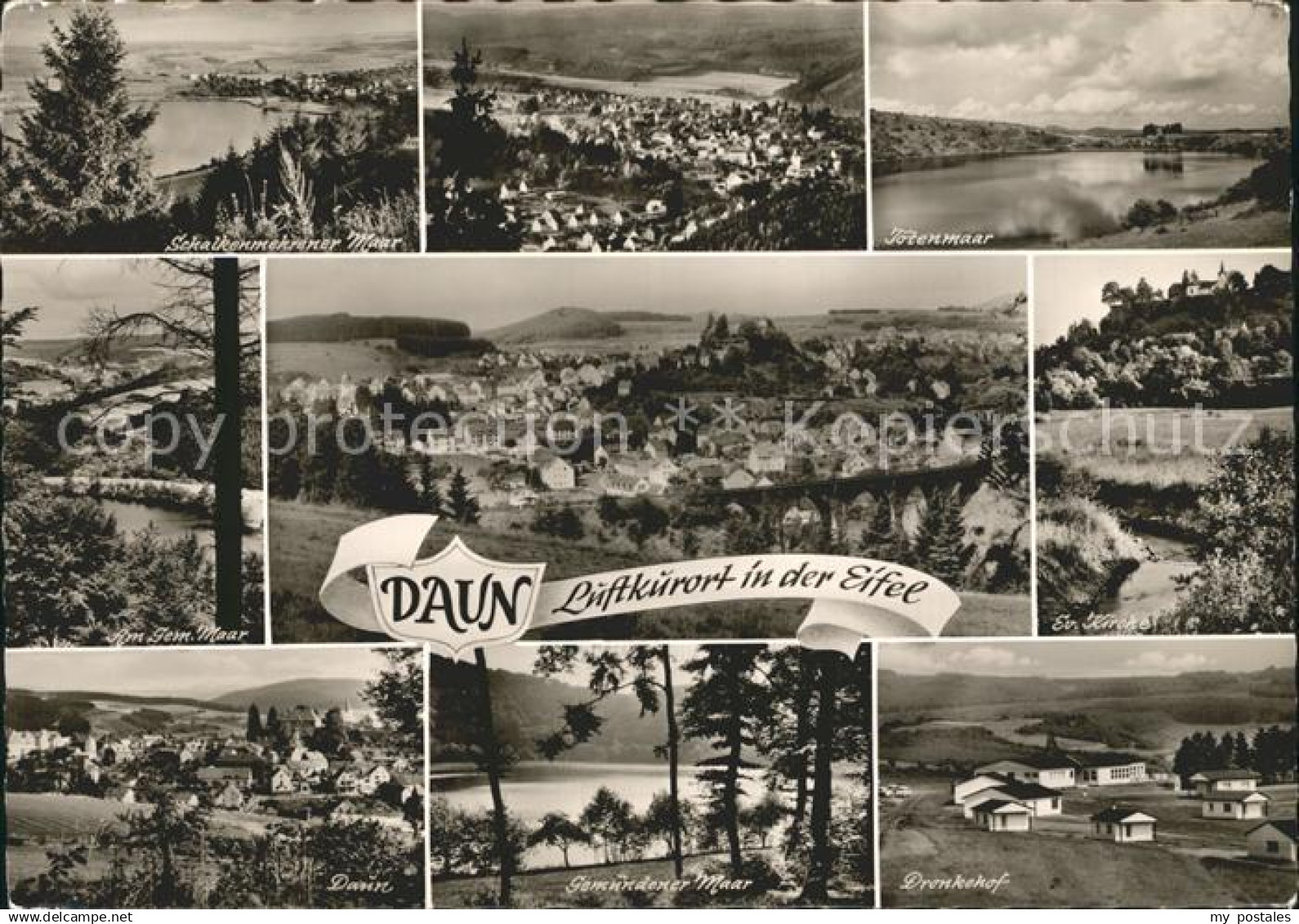 Daun Eifel