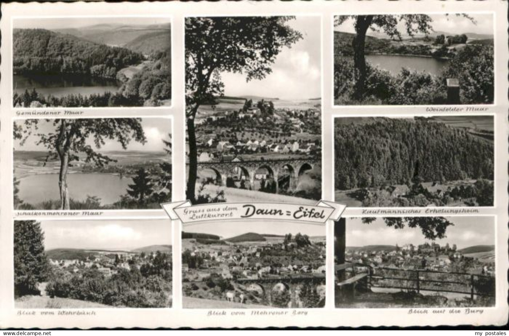 Daun Eifel Daun Gemuendener Maar Weinfelder Maar