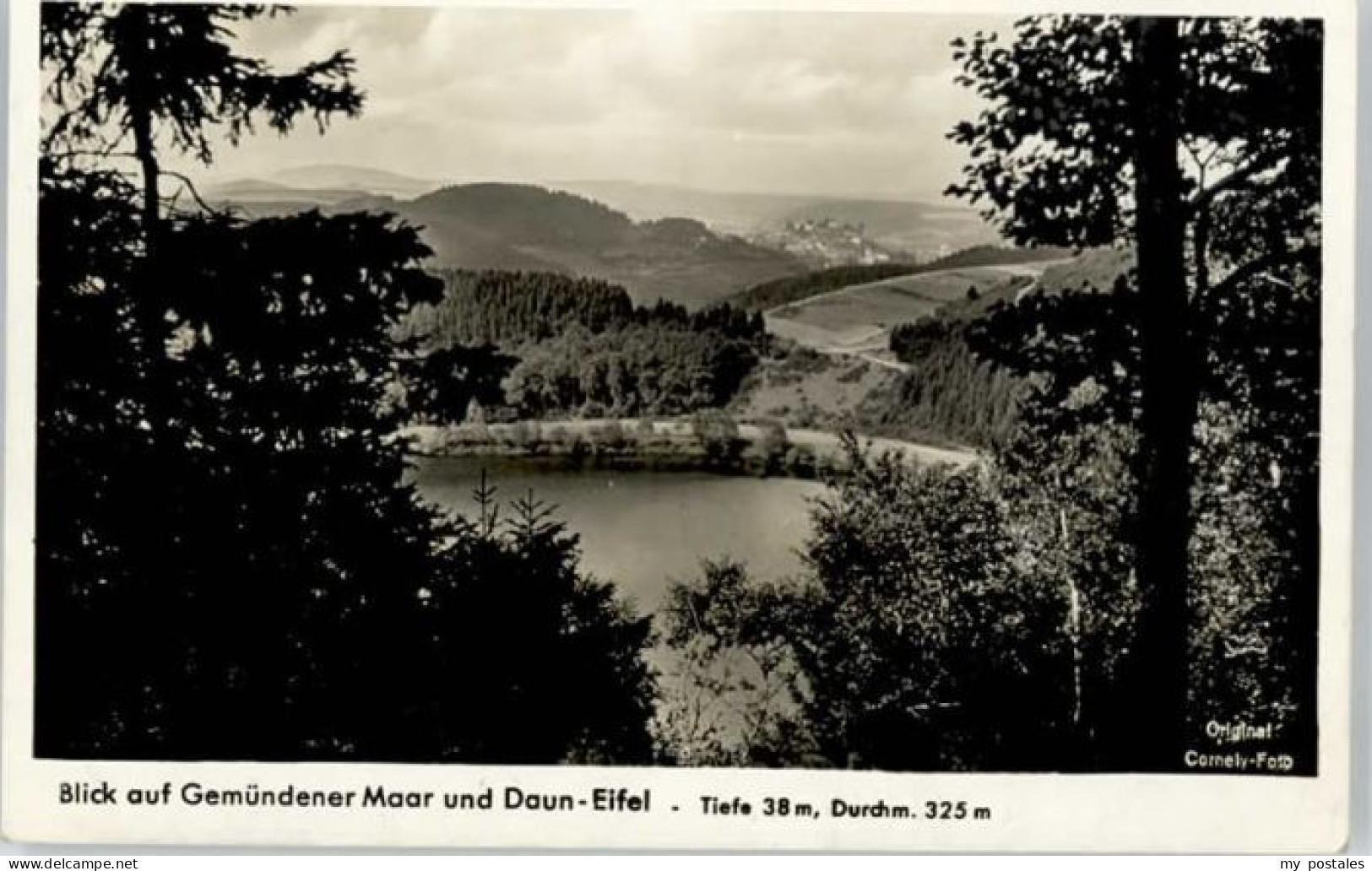 Daun Eifel Daun Gemuender Maar