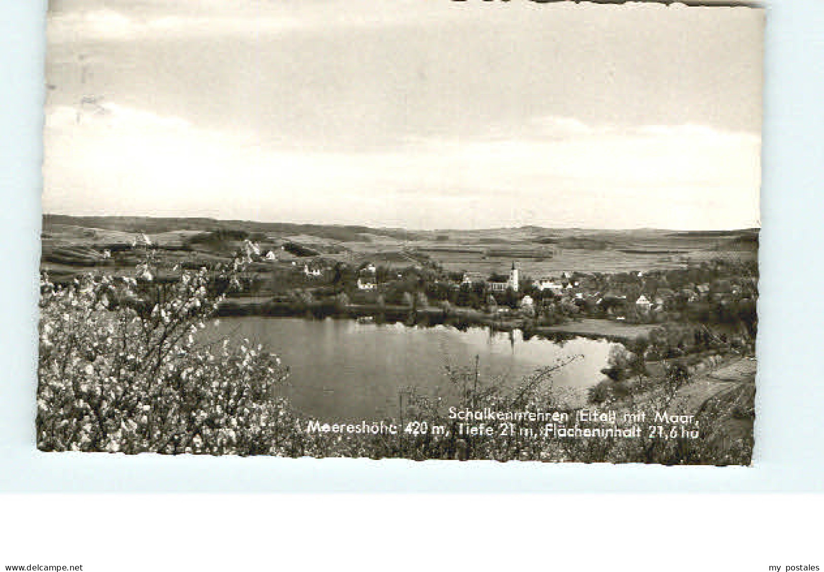 Daun Eifel Daun Schalkenmehren