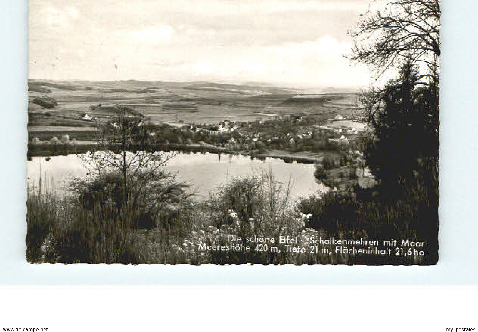 Daun Eifel Daun Schalkenmehren