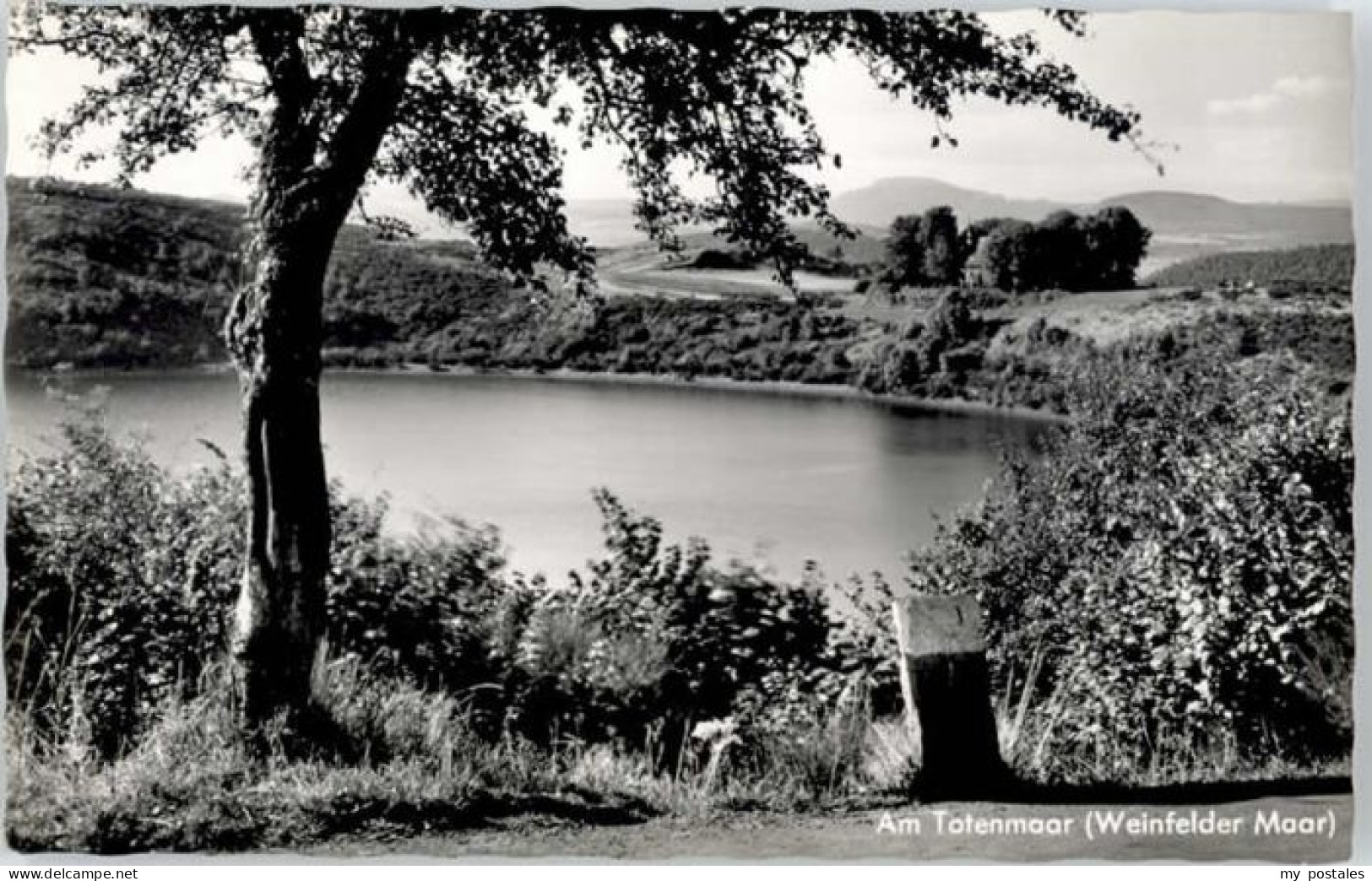 Daun Eifel Daun Totenmaar