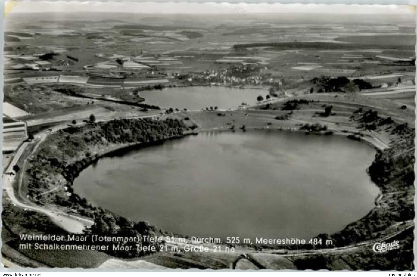 Daun Eifel Daun Weinfelder Maar Fliegeraufnahme