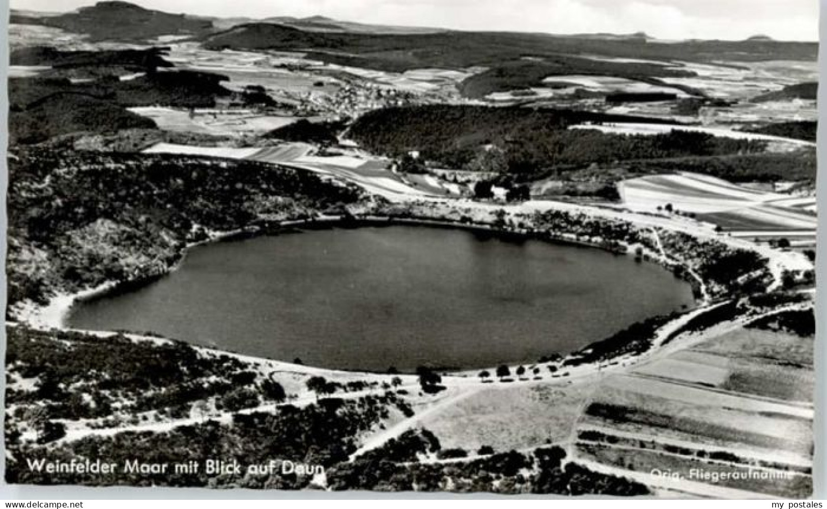 Daun Eifel Daun Weinfelder Maar Fliegeraufnahme