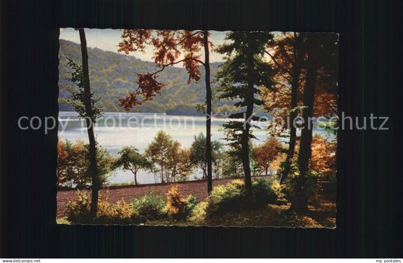Daun Eifel Gemuendener Maar