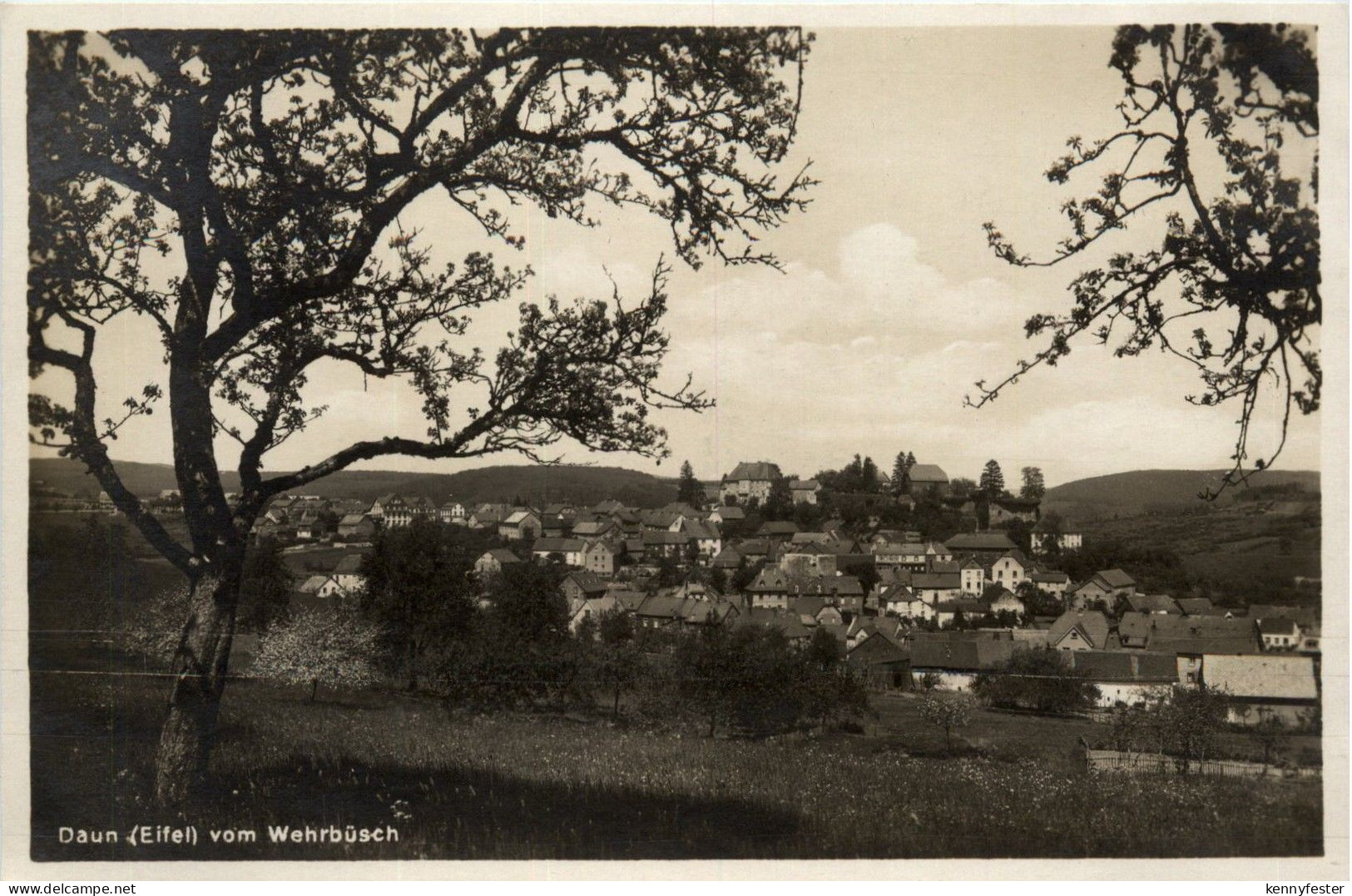 Daun - vom Wehrbüsch