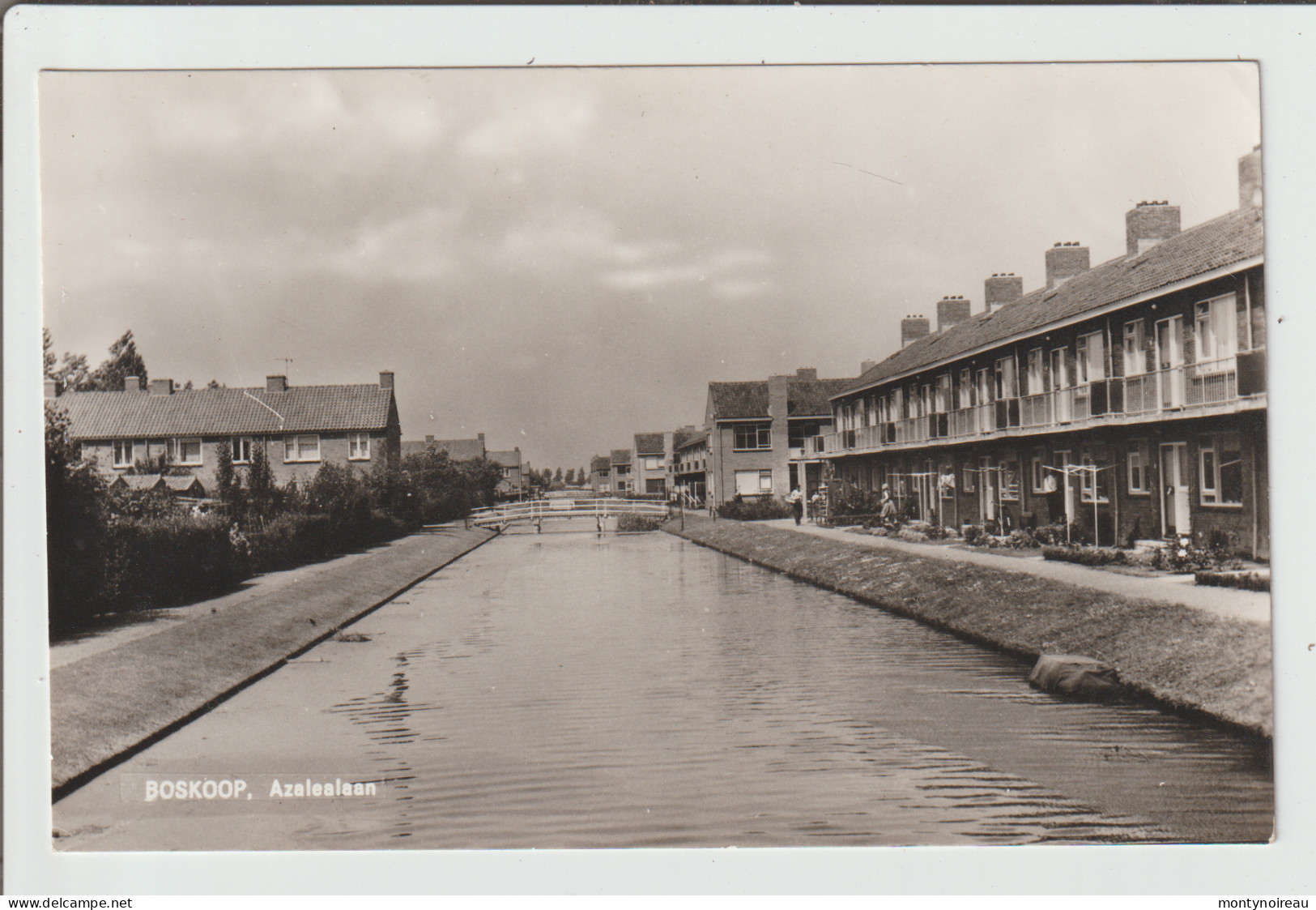 Dav :  PPays  bas :  BOSKOOP :  azalealaan