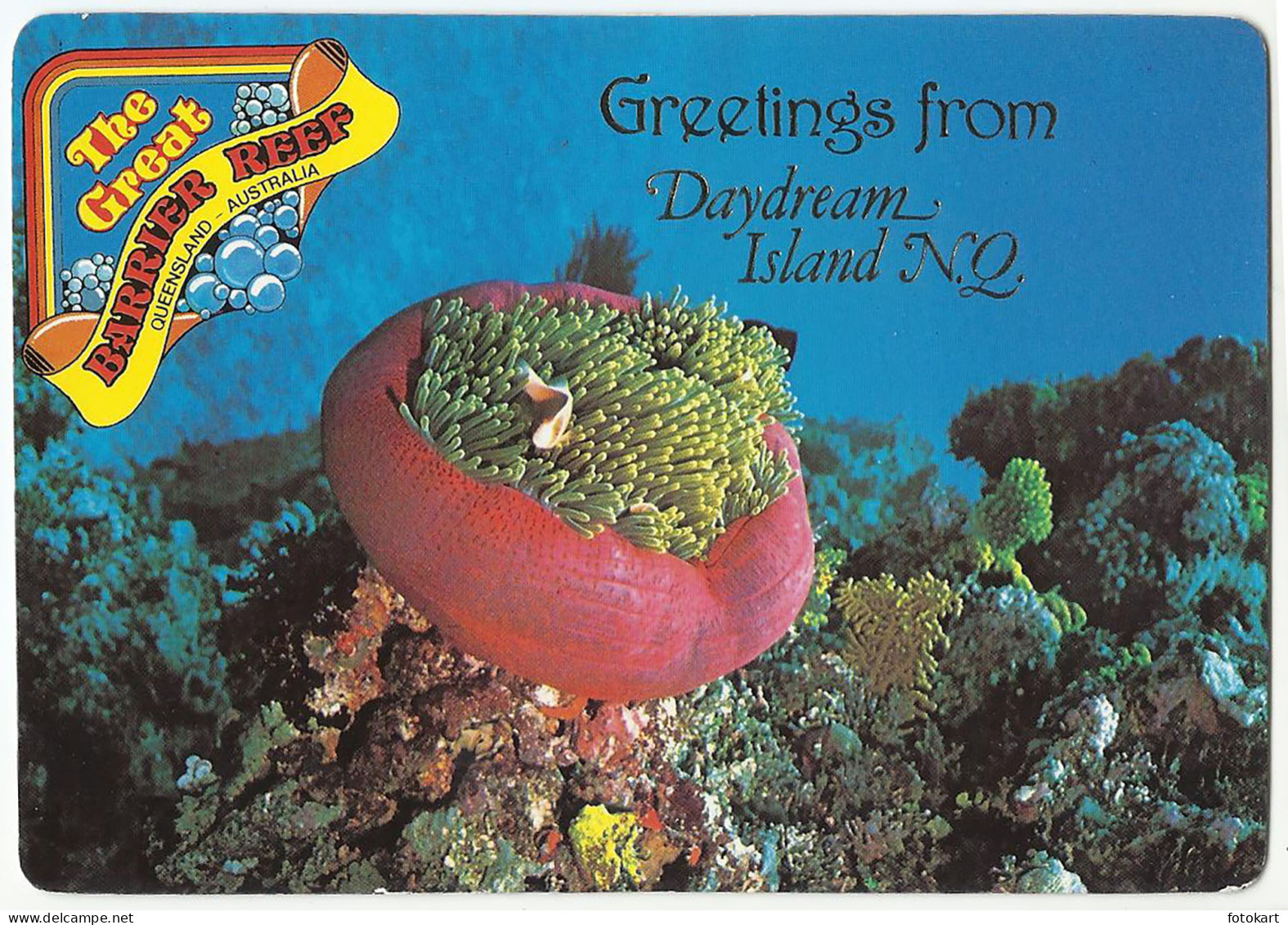 Daydream Island QLD Australia, Vintage PC, Great Barrier Reef, Clown Fish