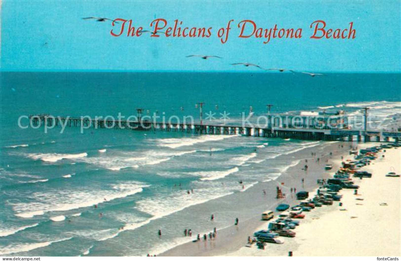 Daytona Beach Pelicans aerial view