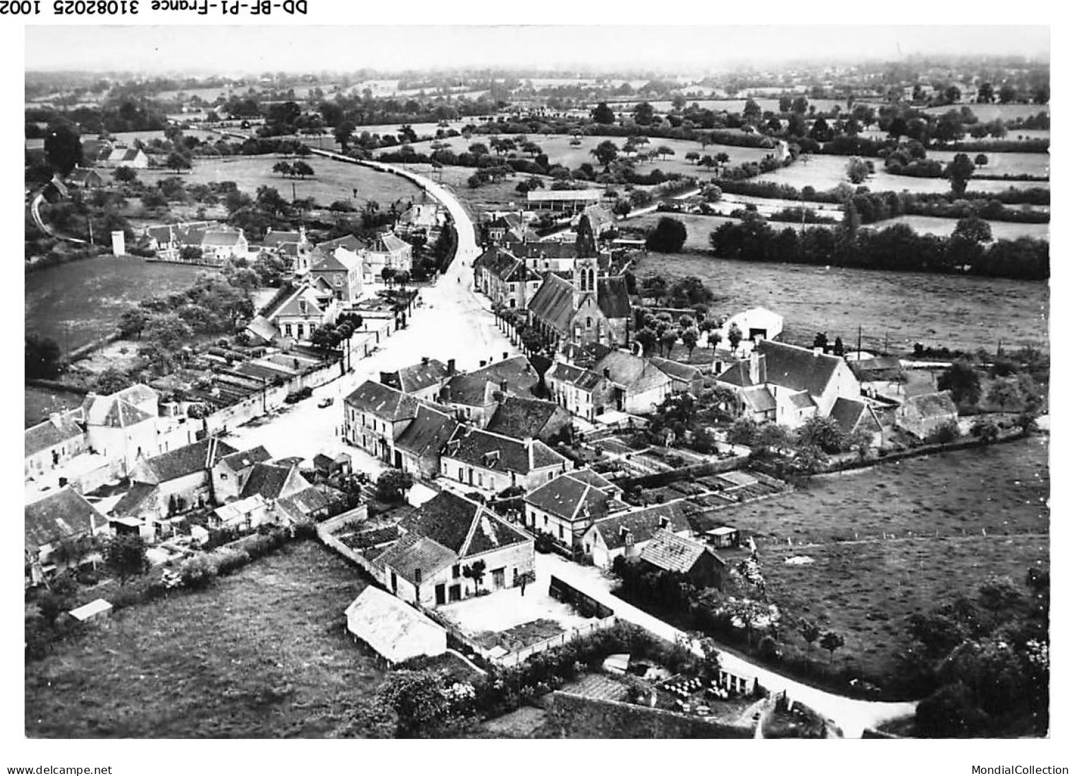 DD-BFP1-0502-61 - PERVENCHERES - Vue générale