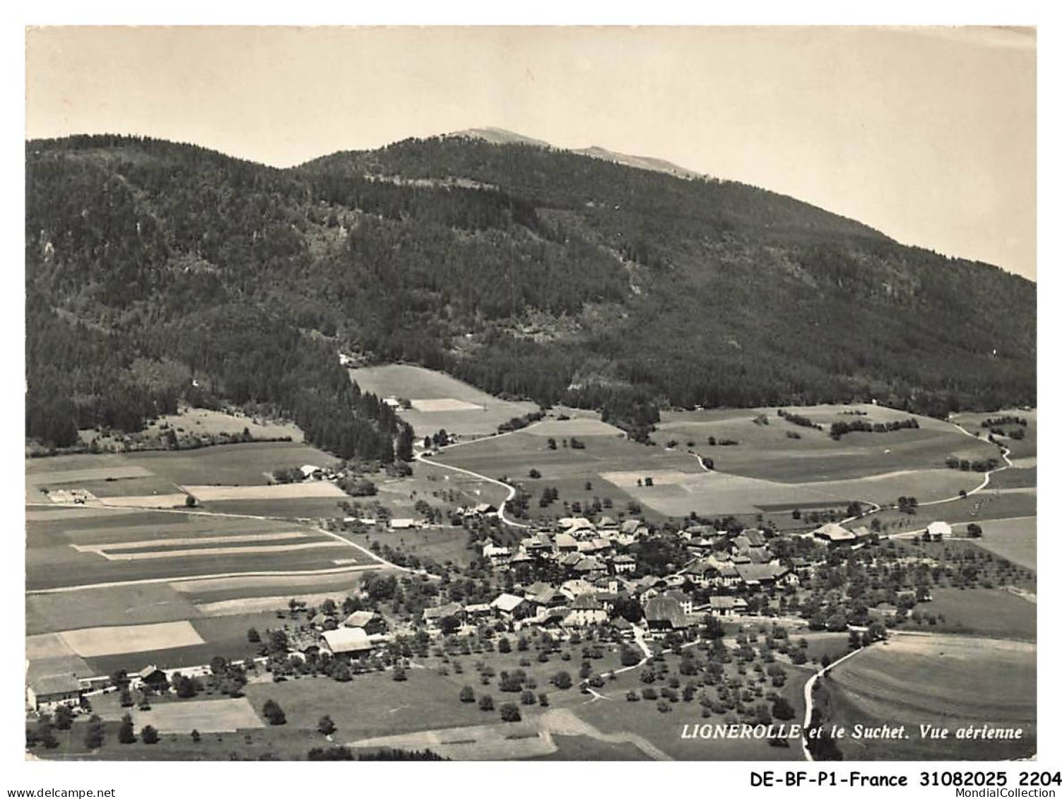 DE-BFP1-1103-73 - LIGNEROLLE - Et le suchet - Vue aérienne