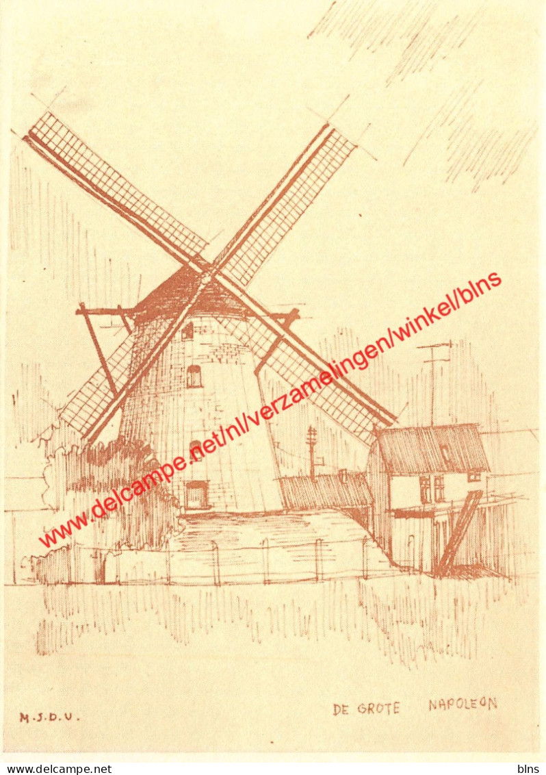 De Grote Napoleon - Hamme