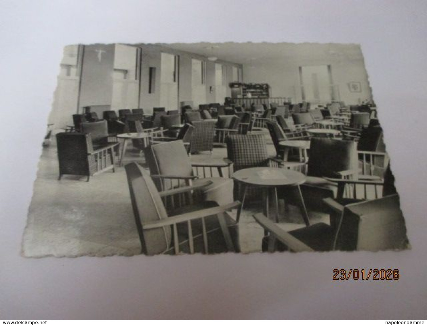 De Haan, Sparrenduin