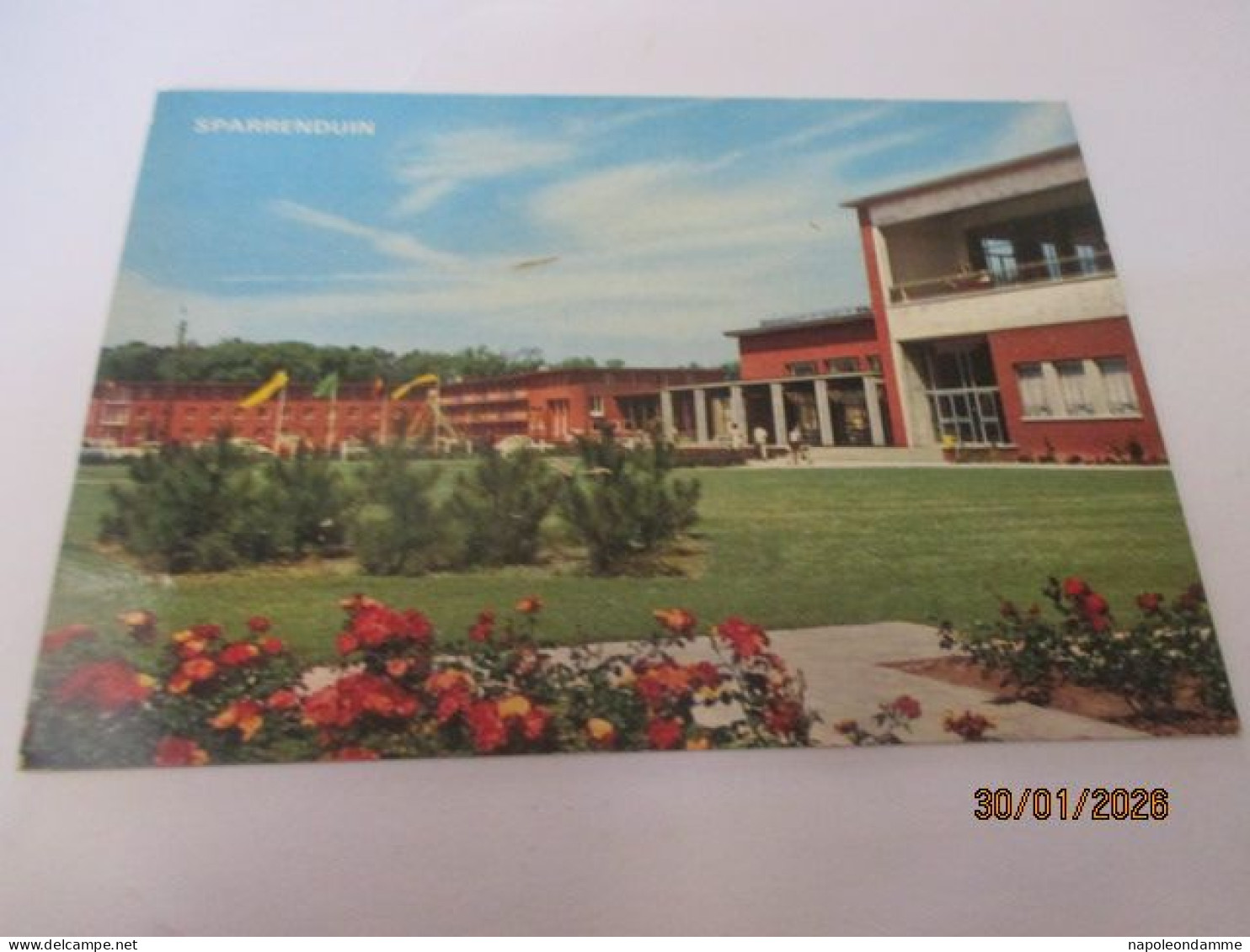 De Haan, Sparrenduin