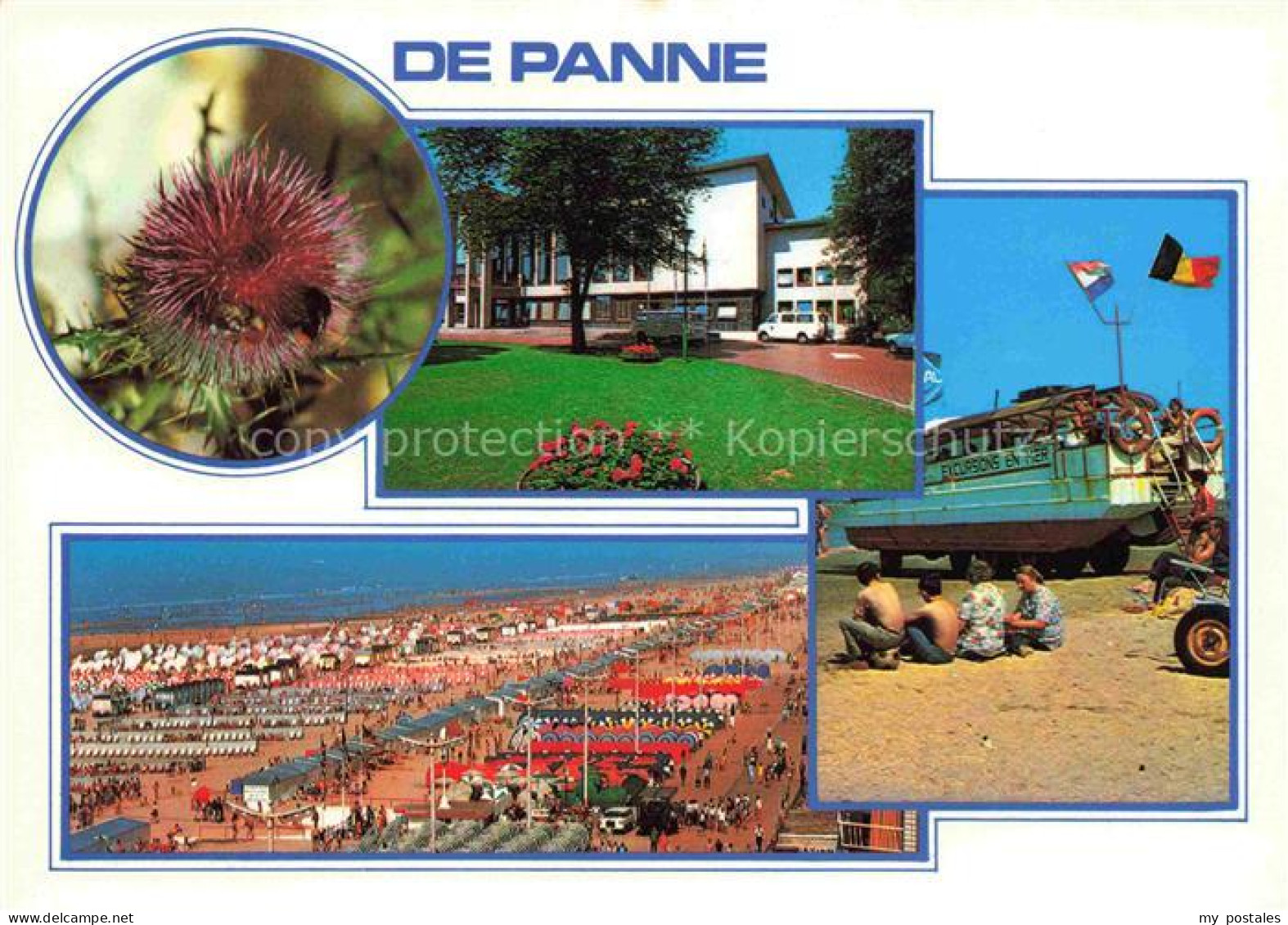 De Panne La Panne Belgie Pflanze Hotel Panorama Strand