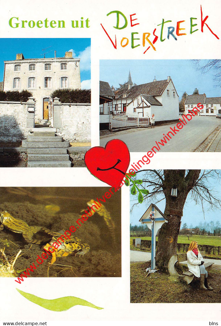 De pastorie van Teuven - de linde van Nurop - Voeren