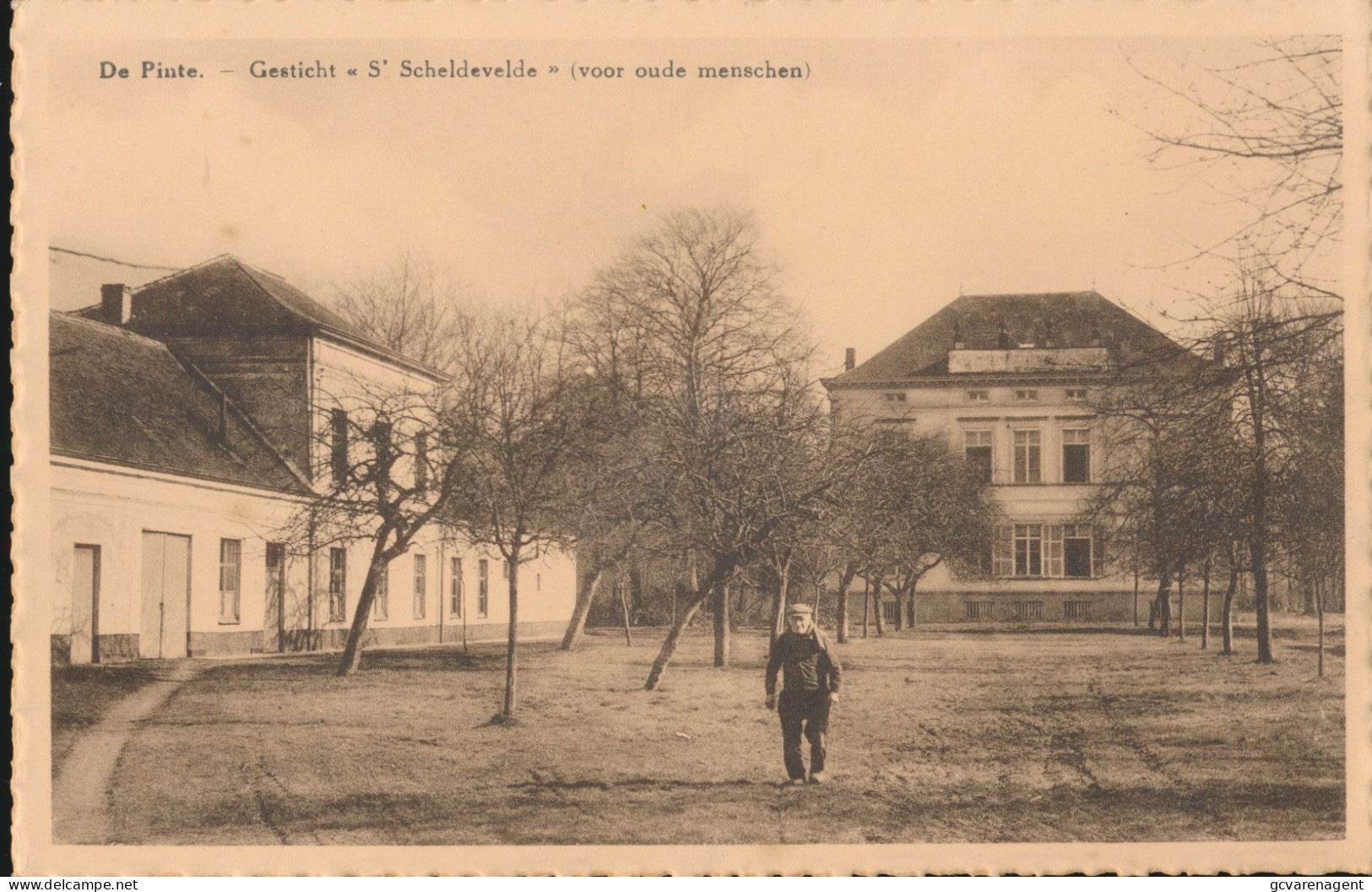 DE PINTE      GESCHTICHT ST SCHELDEVELDE  ( VOOR OUDE MENSCHEN )