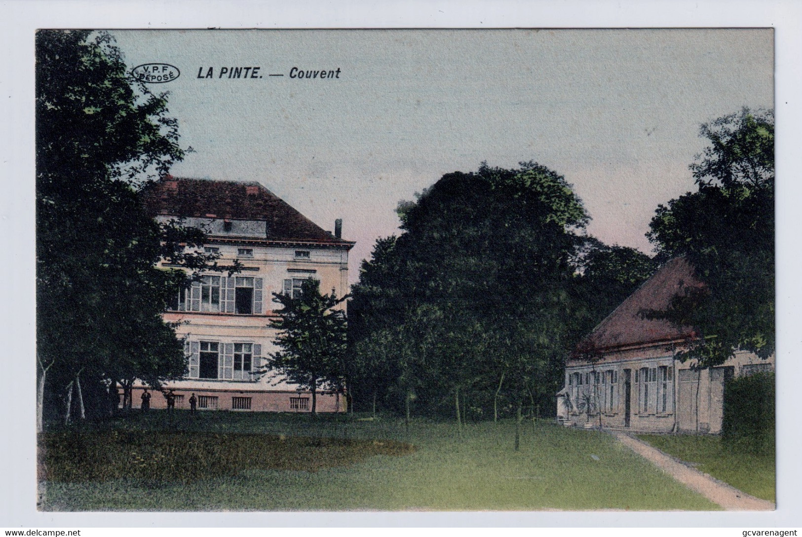 DE PINTE  - LA PINTE  OUVENT   MOOIE STAAT  KLEUR