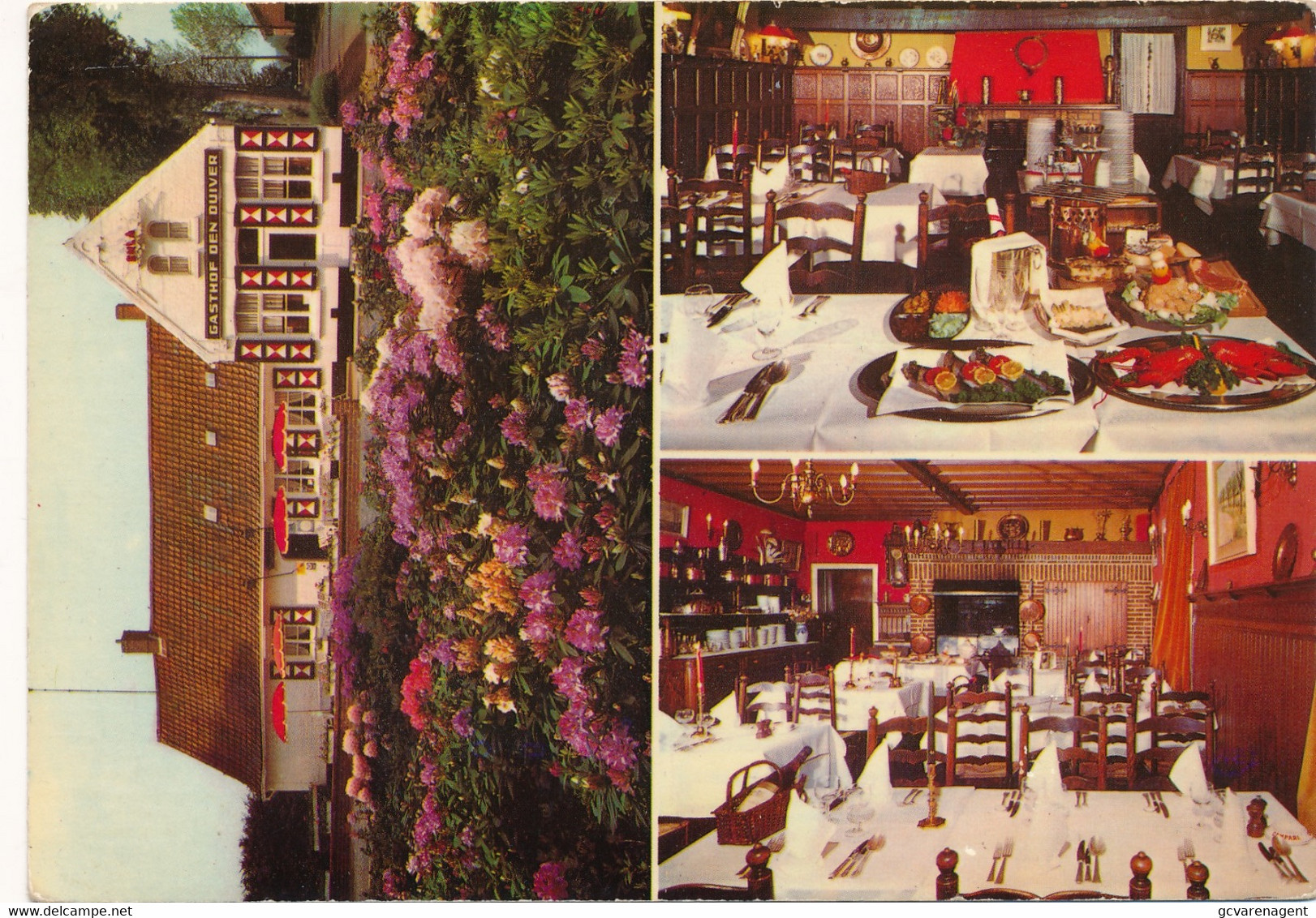 DE PINTE  RESAURANT DEN DUIVER   BARON DE GIEYLAAN 146           ZIE SCANS