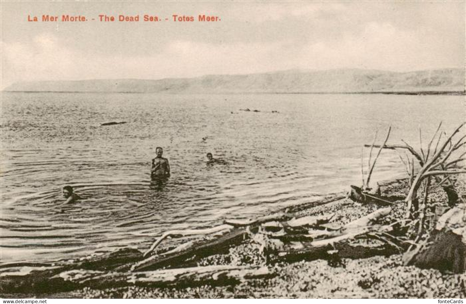 Dead Sea Totes Meer Israel Seepanorama