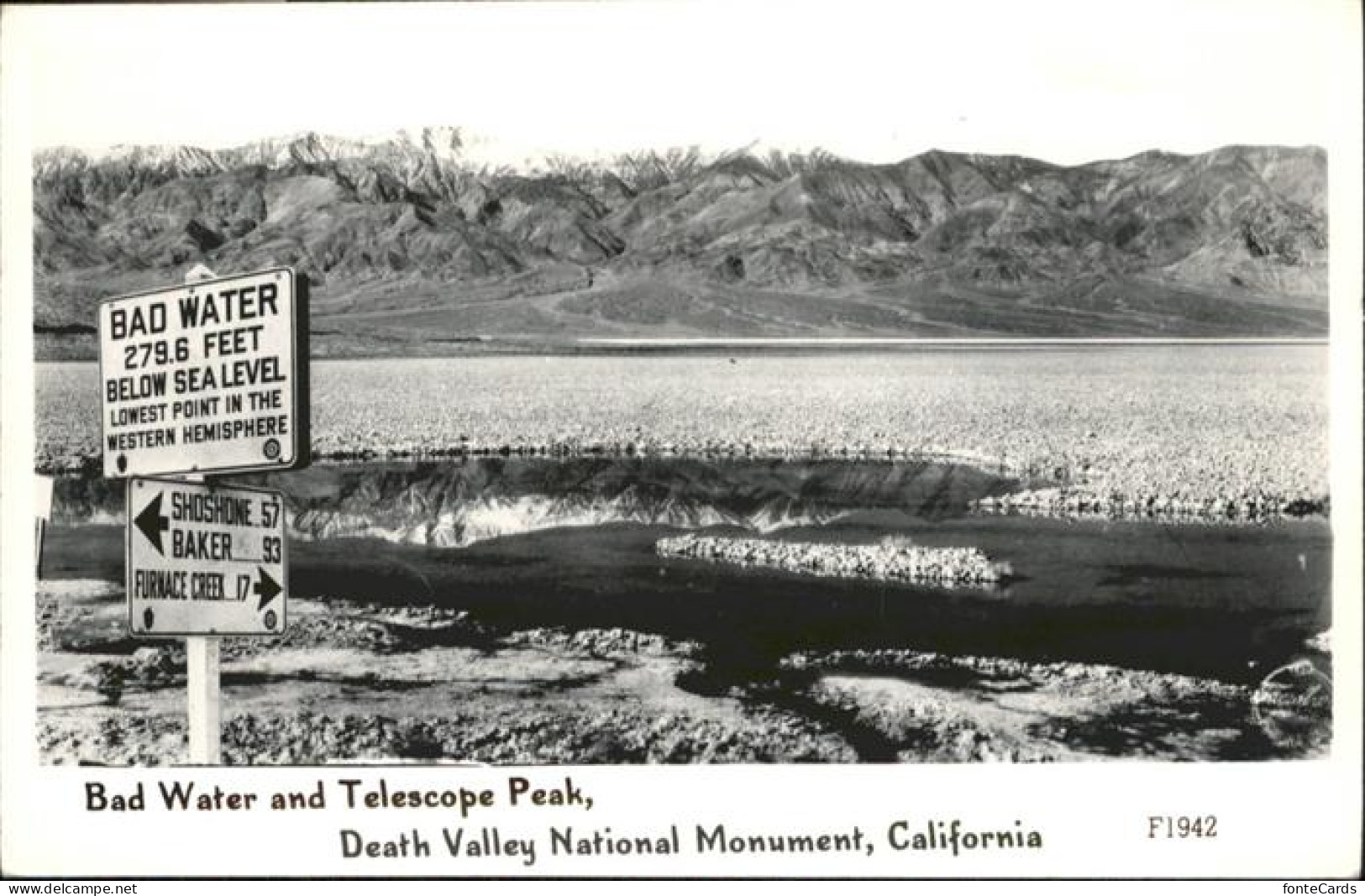 Death Valley Bad Water Telescope Pear