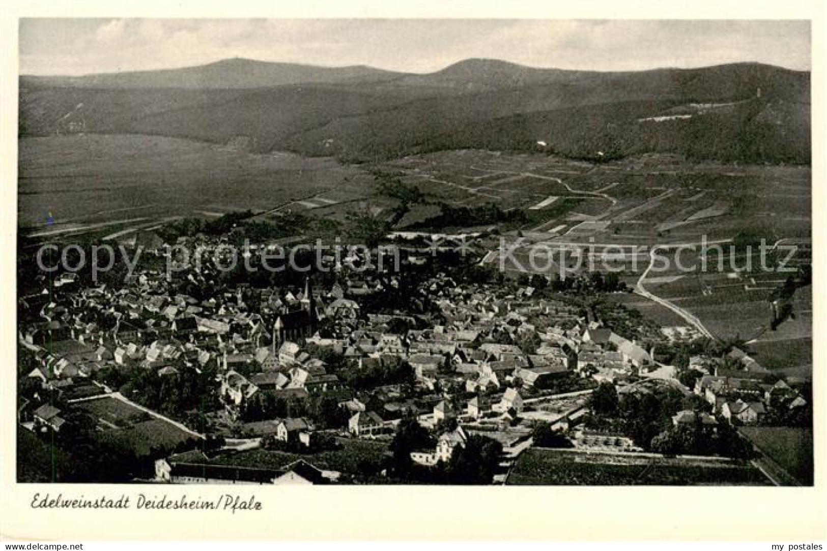 Deidesheim Fliegeraufnahme