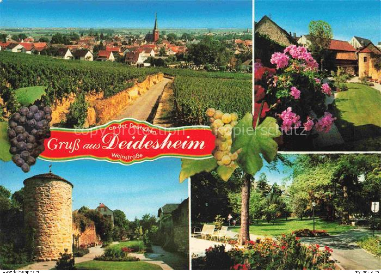 Deidesheim Panorama Turm Park