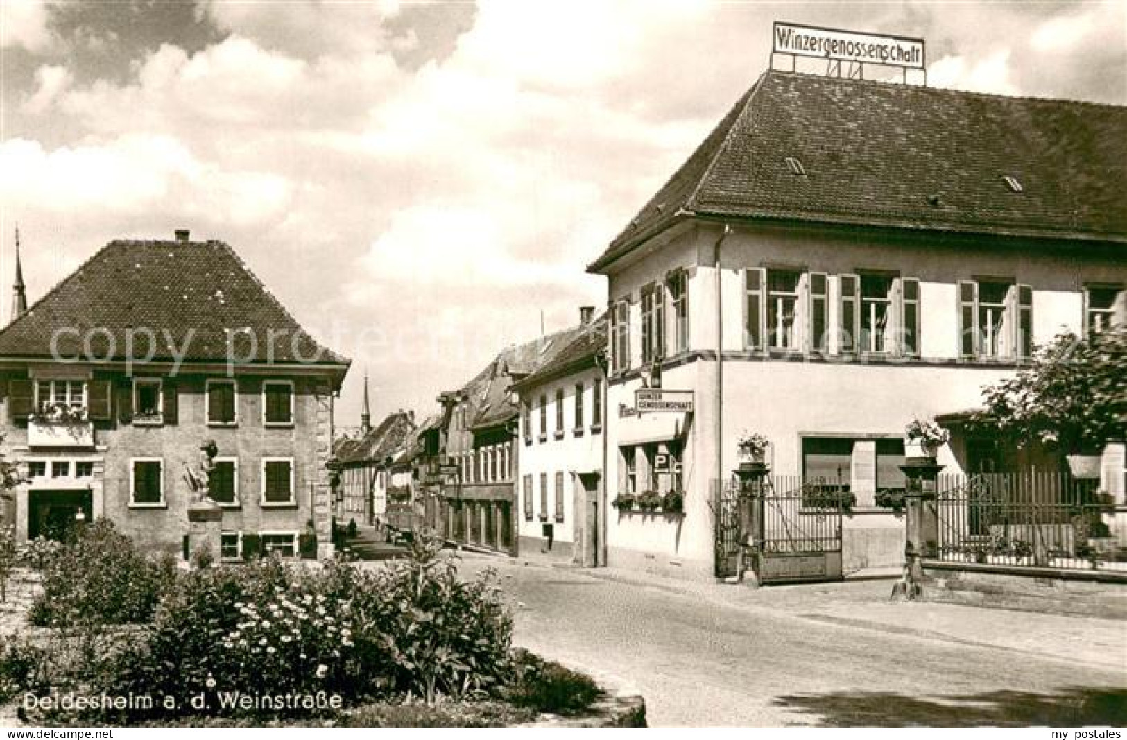Deidesheim Winzergenossenschaft Aussenansicht