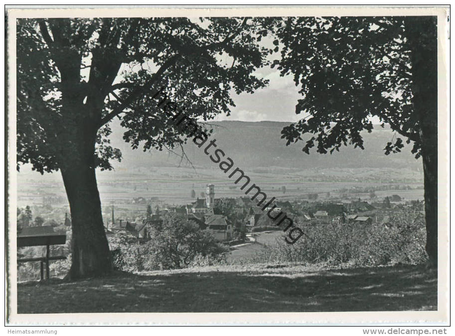 Delemont - Gesamtansicht - Foto-Ansichtskarte