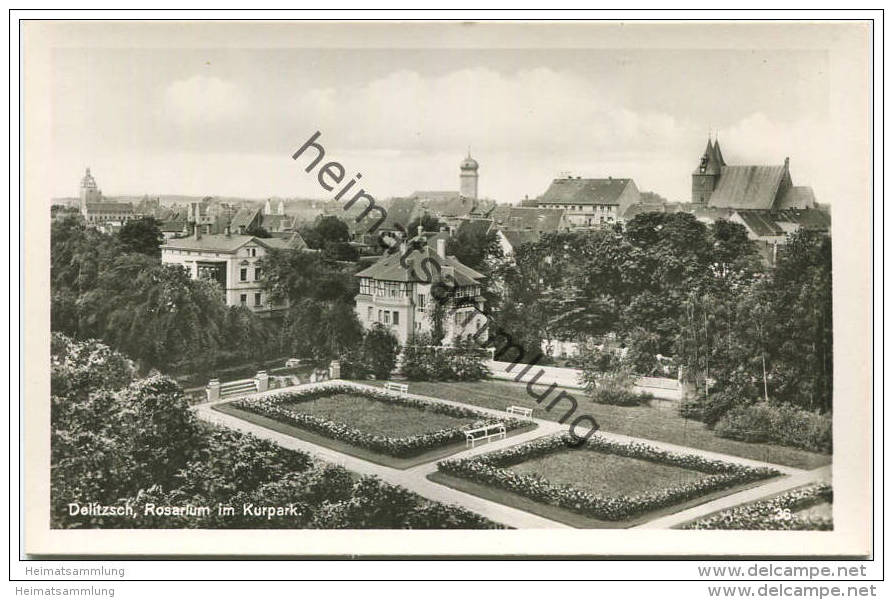 Delitzsch - Rosengarten - Rosarium im Kurpark- Foto-AK