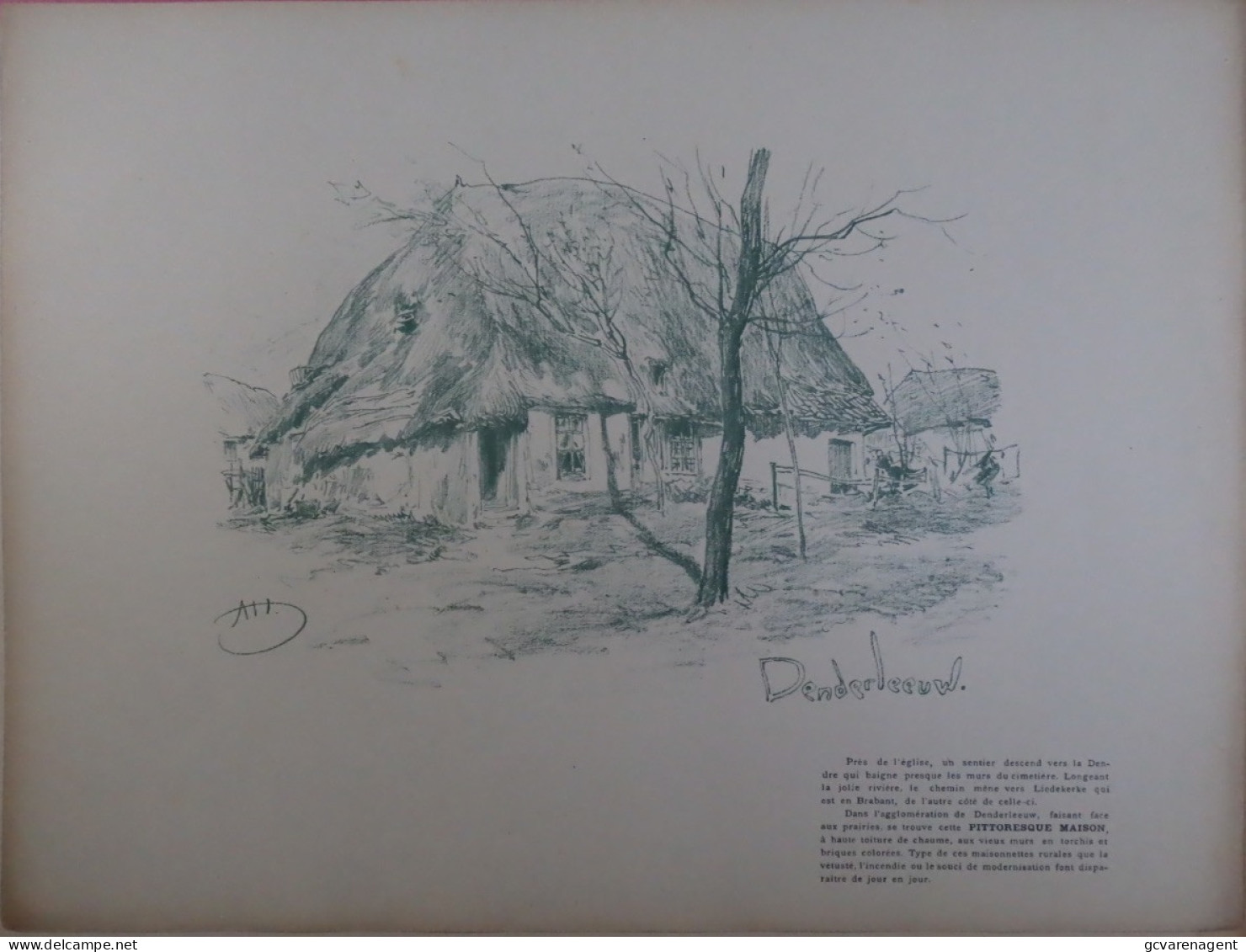DENDERLEEUW   OUD HUIS      PRINT. A.HEINS    360 X 270 MM