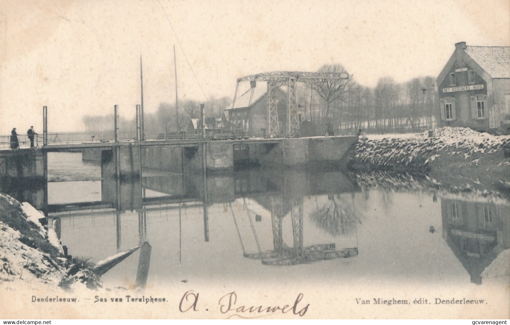 DENDERLEEUW     SAS VAN TERALPHENE