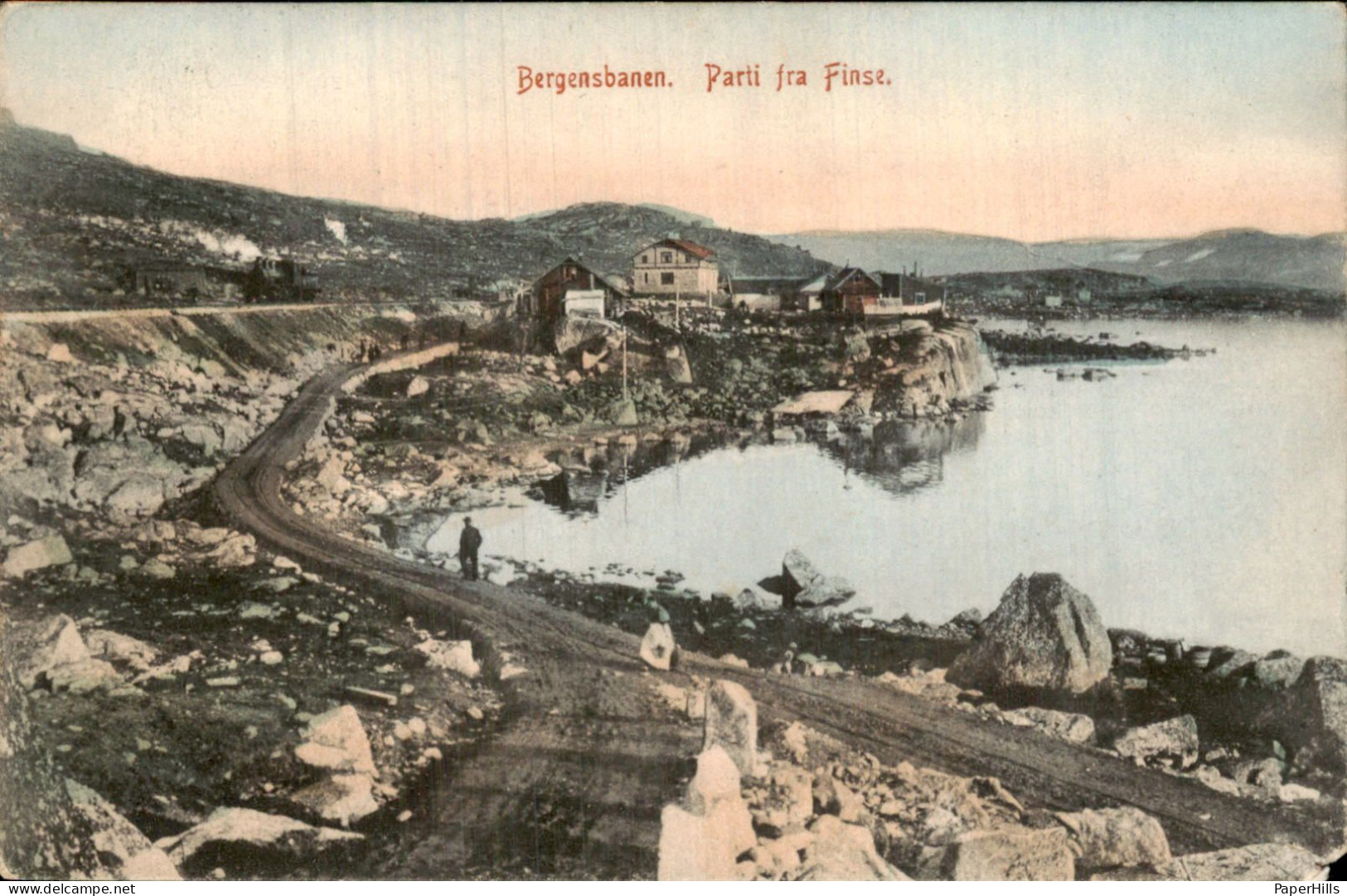 Denemarken Denmark - Bergensbanen