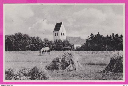 275263 / Denmark Videbaek - Parti fra horse House  ,  Town in Jutland Danemark Danemark Danimarca