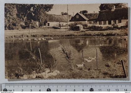 I122020 Cartolina Danimarca - Sjælland idyl