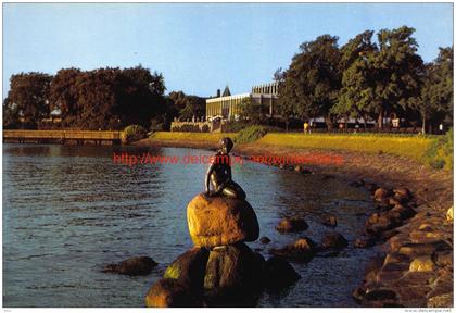 The Little Mermaid at the Langelinie - Copenhagen