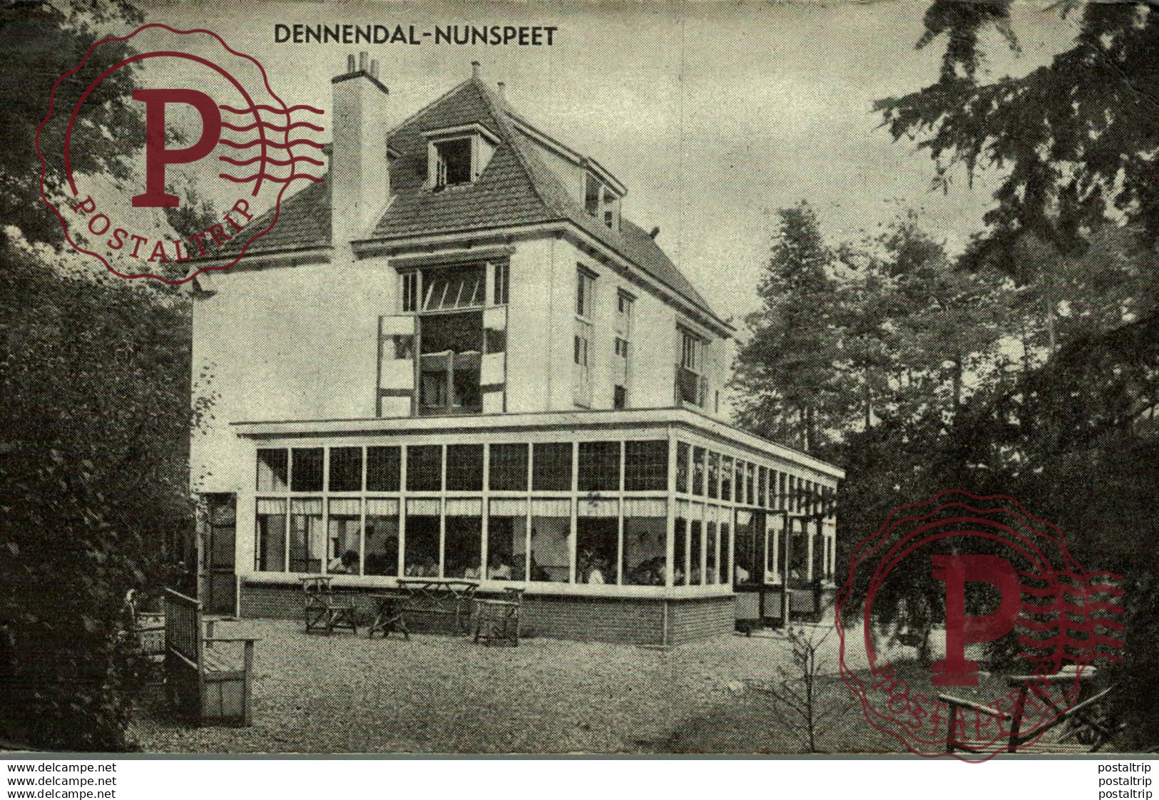 DENNENDAL NUNSPEET