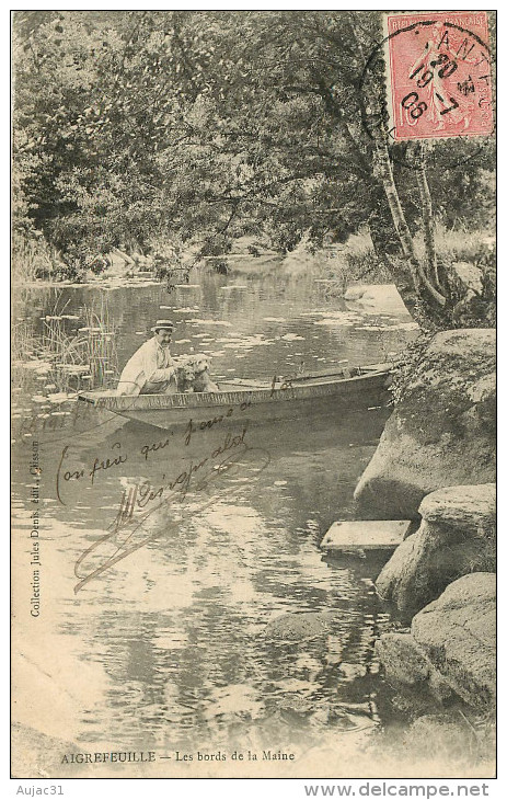 Dép 44 - Animaux - Chiens - Chien - Dogs - Dog - Barque - Aigrefeuille sur Maine - Les bords de la Maine - état