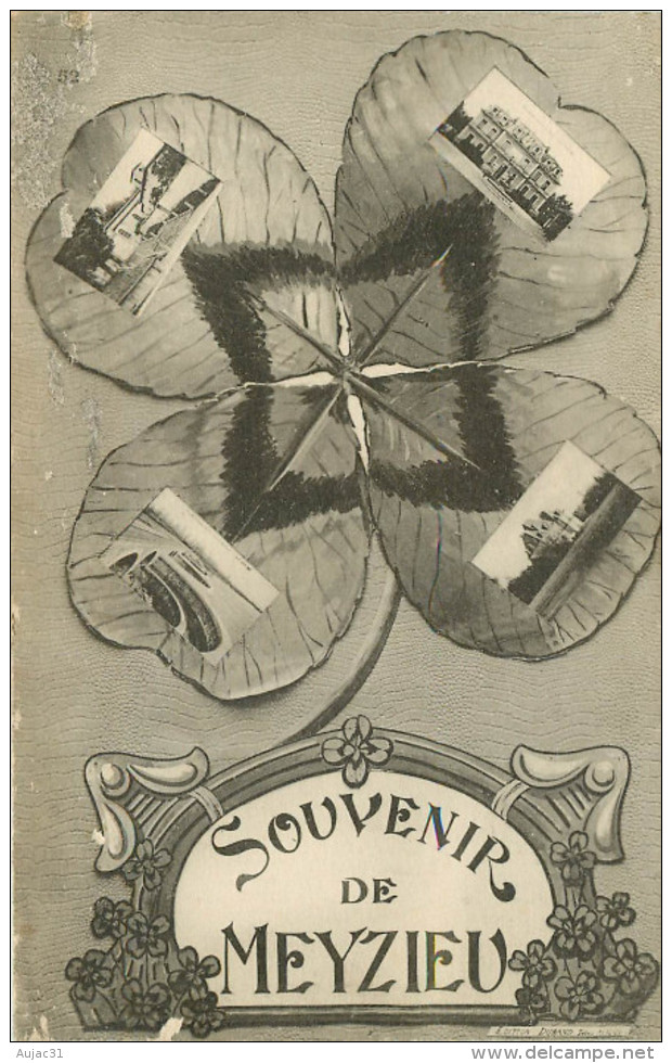 Dép 69 - Meyzieu - Souvenir - Multivues - état