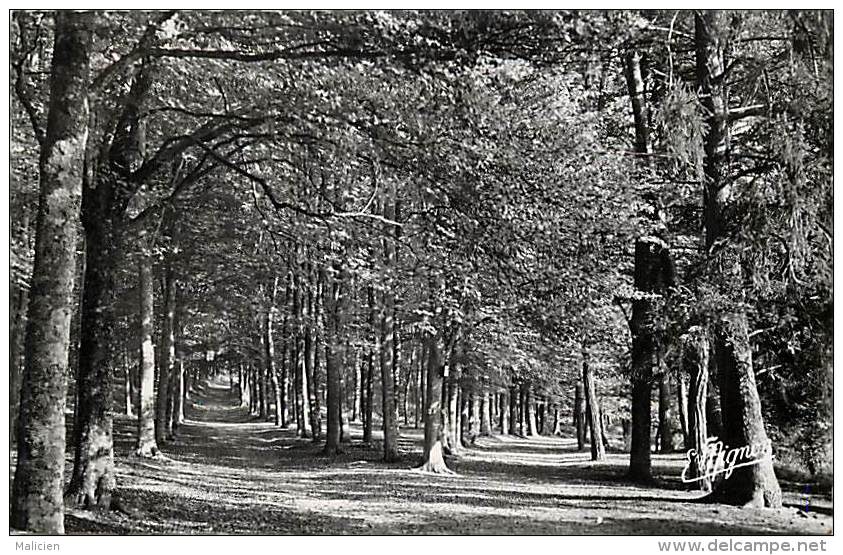 depts div.- yvelines  -W714 -  saint leger en yvelines - st leger en yvelines - le carrefour des oiseaux -