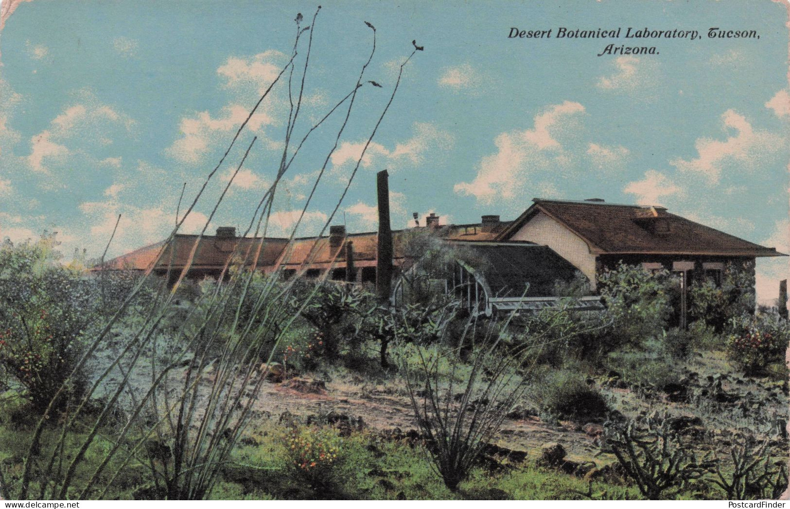 Desert Botanical Laboratory Tucson Arizona USA Old Postcard